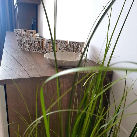 Suite&garden Coresi Apartment