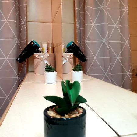 Suite&garden Coresi Lejlighed Braşov
