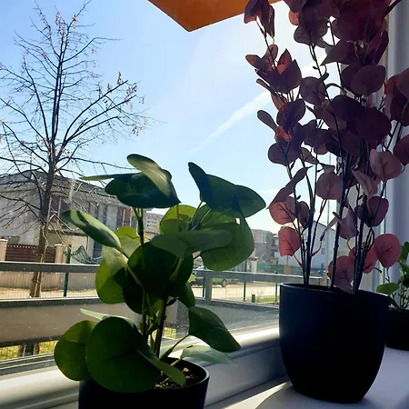 Suite&garden Coresi * Braşov