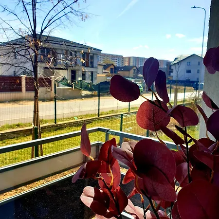 Daire Suite&garden Coresi Braşov
