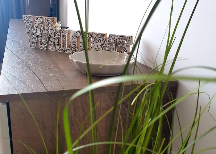 Suite&garden Coresi Apartamento