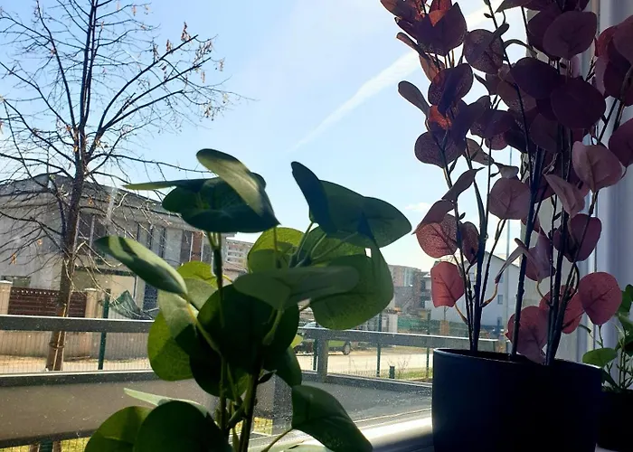 Suite&garden Coresi * Brasov