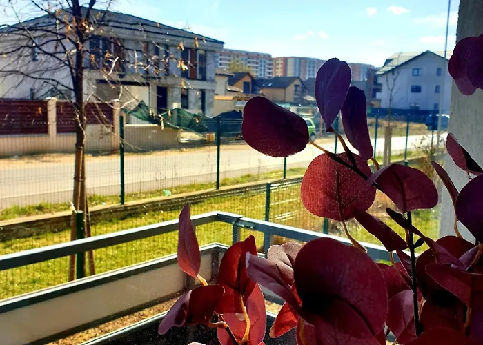 Apartamento Suite&garden Coresi Braşov